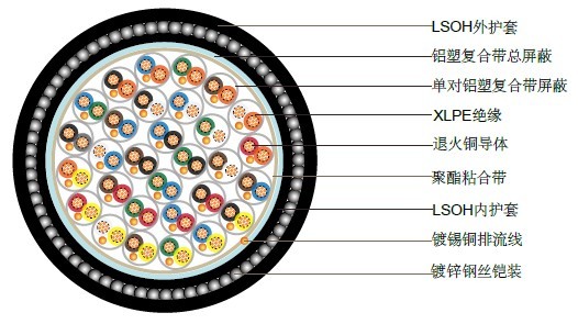 BS5308��һ����2��XLPE��Ե+��������+������+��װ+LSOH����