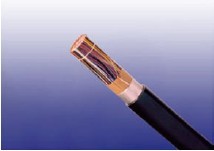 CW 1171ʵ��PE��Ե&PE���׵绰���� 