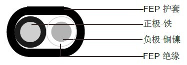 ���Ա�ƽFEP��Ե�ȵ�ż����