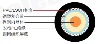 RH 100ͬ�����