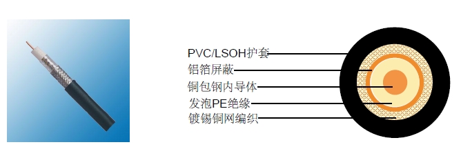 RG 11ͬ�����