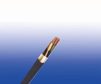 FIREGUARDϵ��450/750V XLPE��Ե, PVC����, ���ε����� (2-4о)