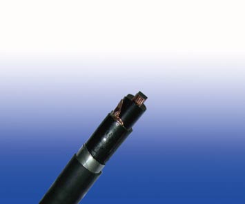 FIREGUARDϵ��EN 60332��׼XLPE��Ե,PVC����,˫�ִ���װ������ (3о)