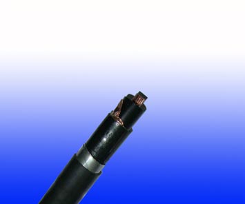 FIRETOXϵ��600/1000V XLPE��Ե, LSZH����, ˫�ִ���װ������ (2о)