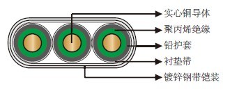 250?/121�� PP��ԵǦ���ױ�ƽǱ�ͱõ���