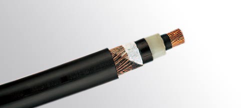 BS 6622/BS 7835��׼��о 12.7/22KV (um=24kV)��о��������
