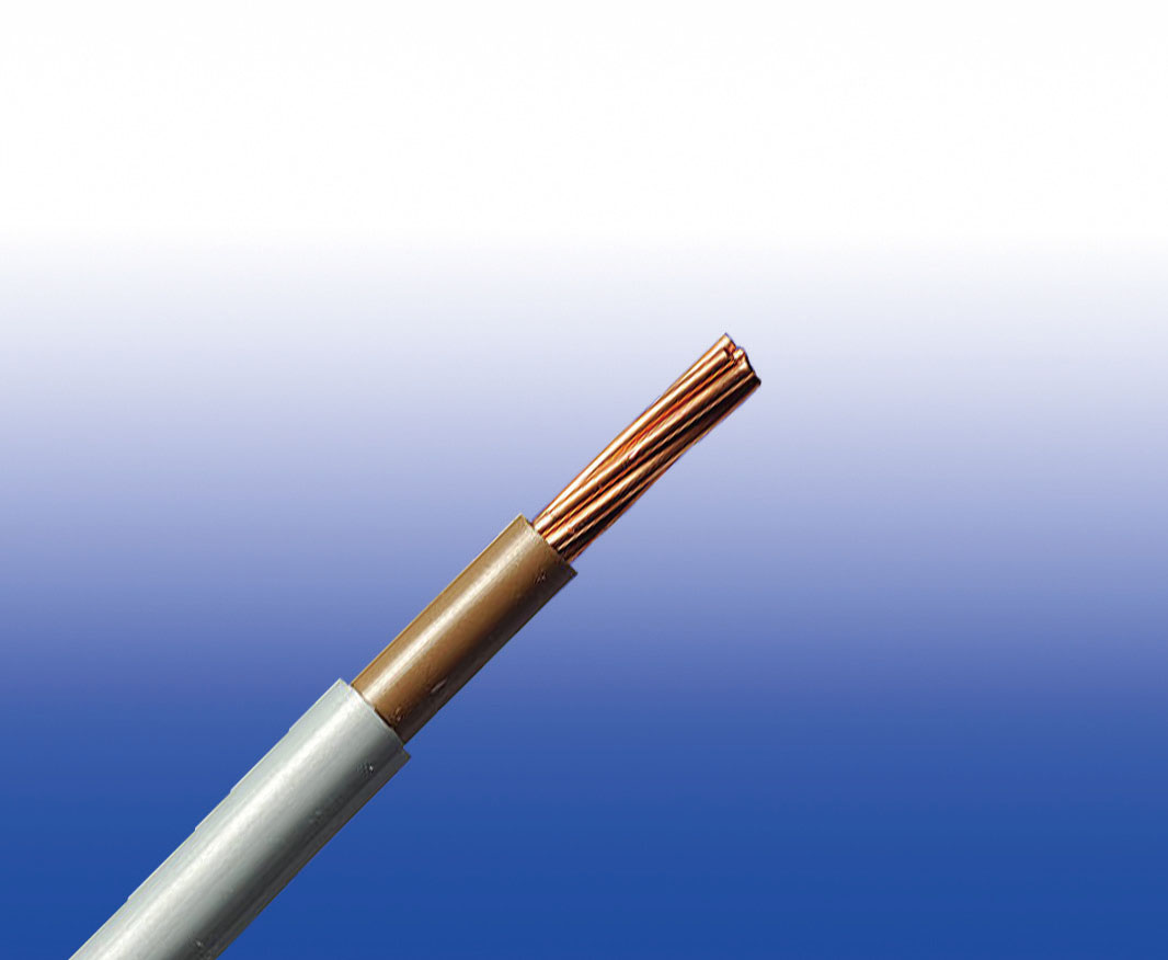 IEC 60502��׼XLPE ��Ե PVC���׷���װ������ȼ��������